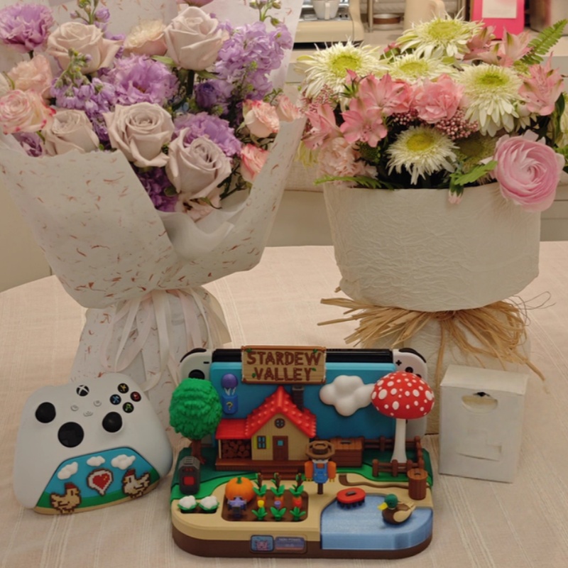 Switch Dock Stardew Valley Far – Gaming Console Stand Bewertung und Preis